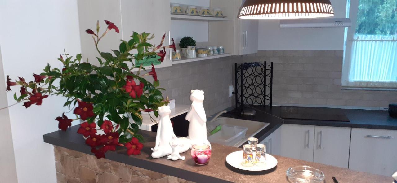 Raza Soarelui Apartament De Lux 소바타 외부 사진