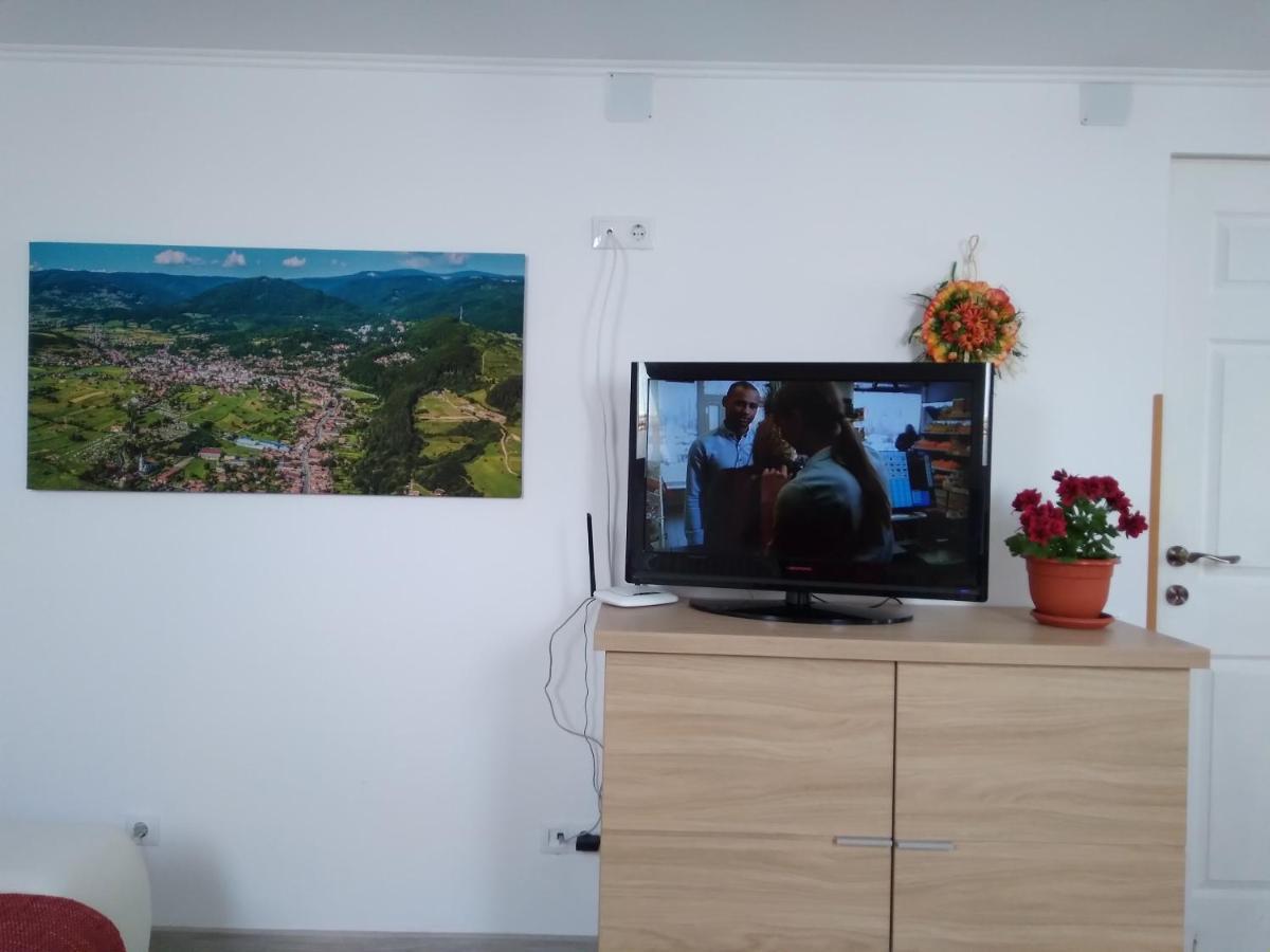 Raza Soarelui Apartament De Lux 소바타 외부 사진