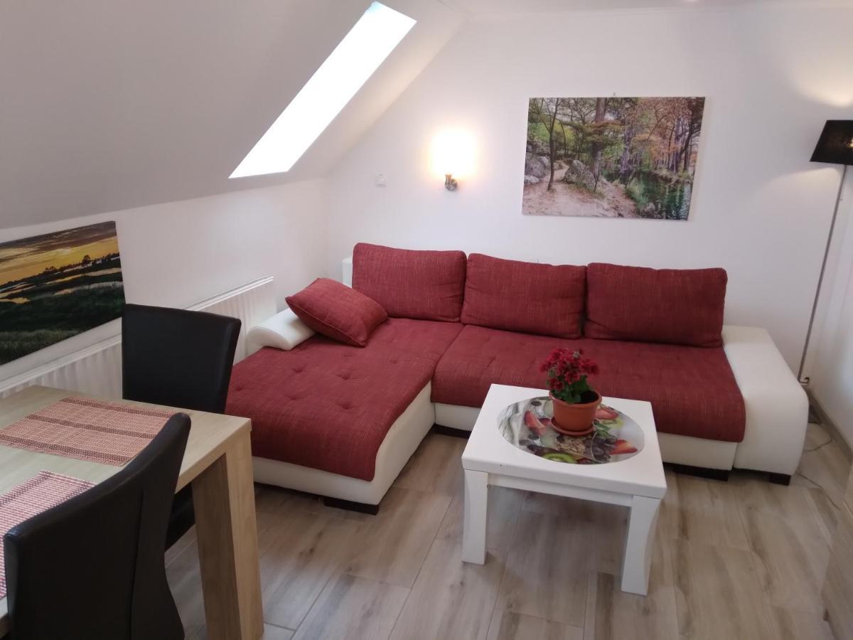 Raza Soarelui Apartament De Lux 소바타 외부 사진