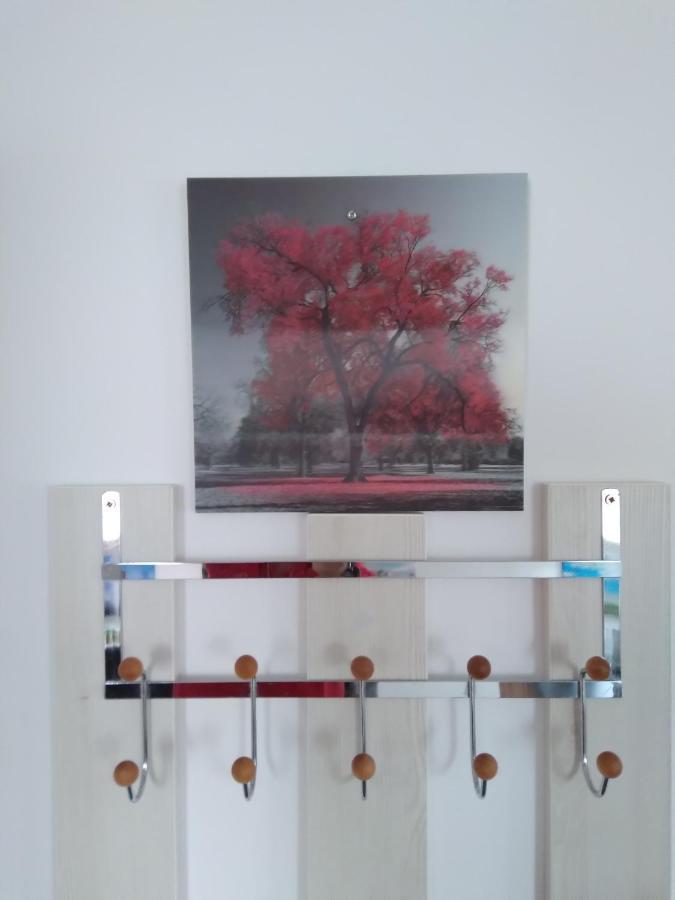 Raza Soarelui Apartament De Lux 소바타 외부 사진