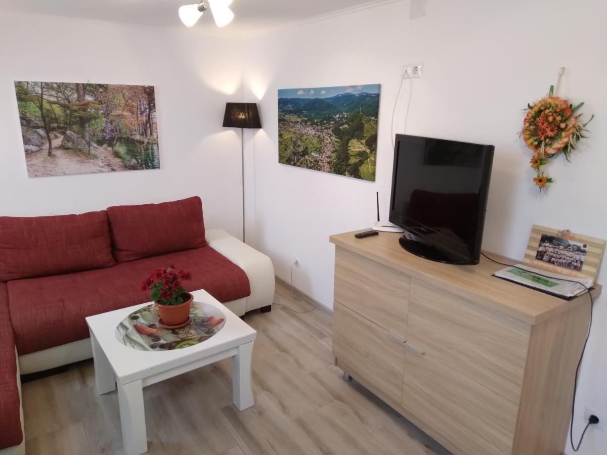Raza Soarelui Apartament De Lux 소바타 외부 사진